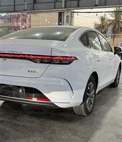 BYD Destroyer 05